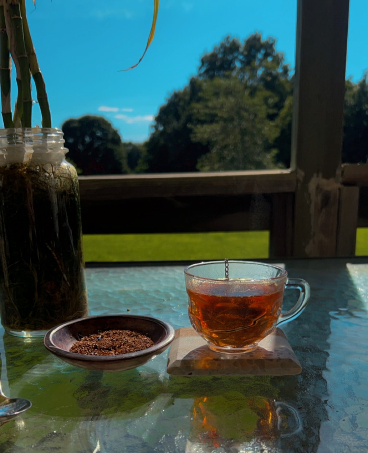 Rooibos Africana Tea