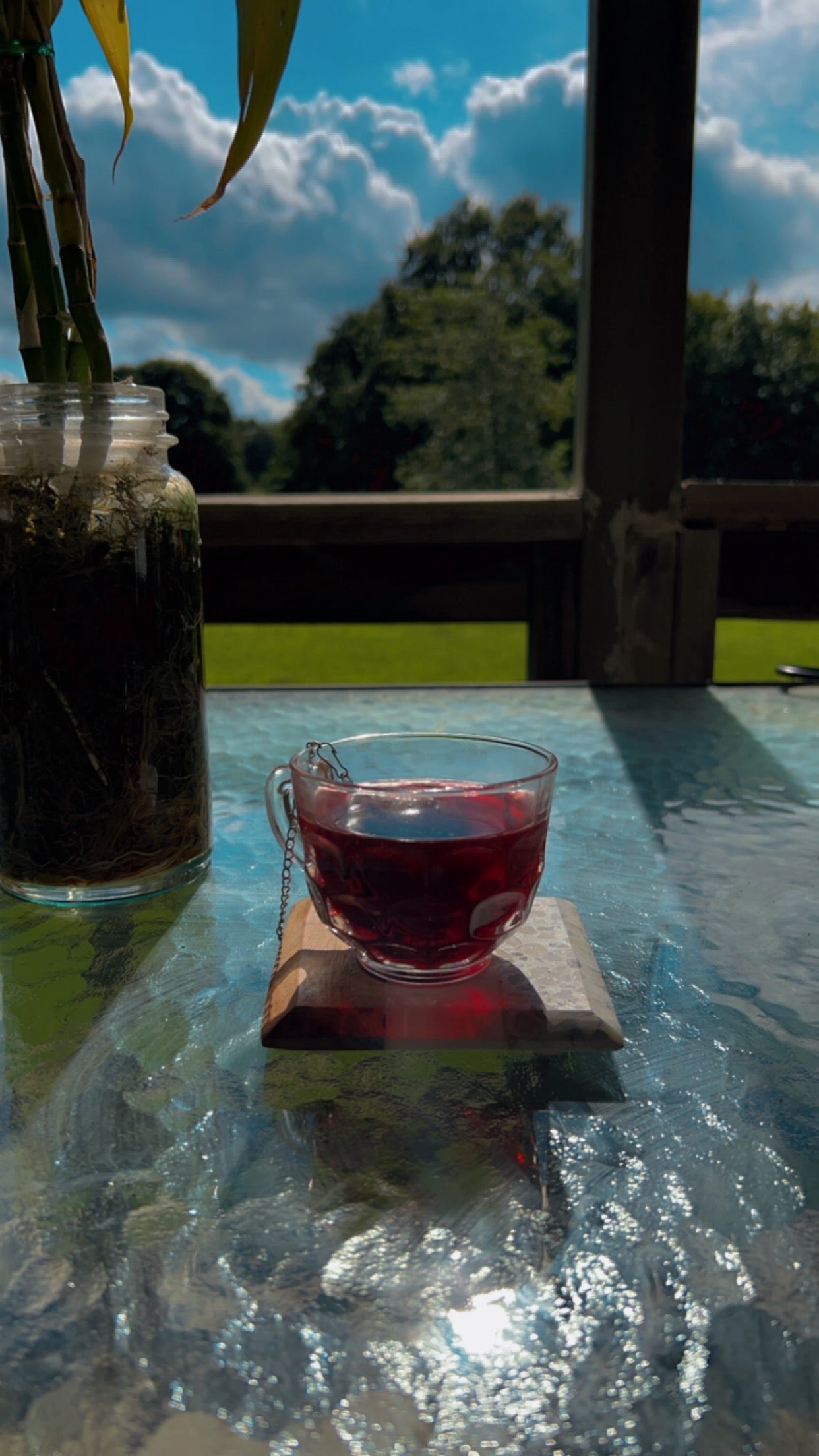 Passion Berry Fruit Tisane Tea