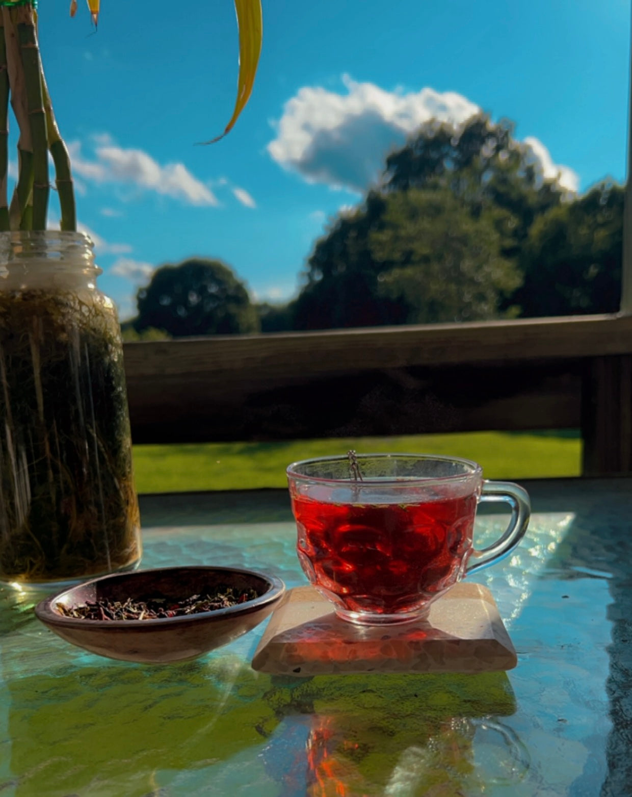 Hibiscus Mint Tea